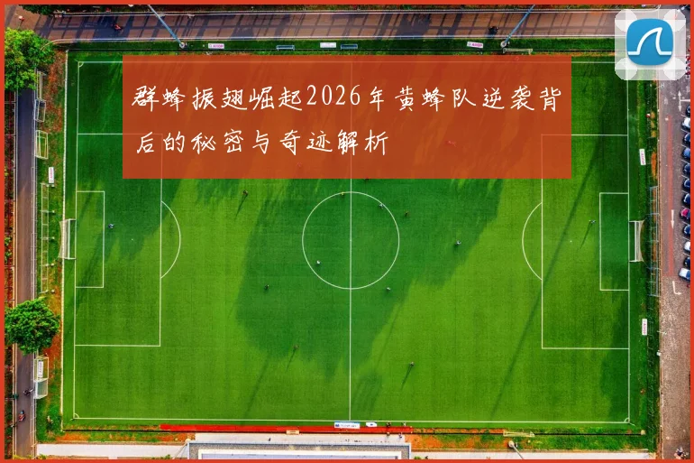 群蜂振翅崛起2026年黄蜂队逆袭背后的秘密与奇迹解析