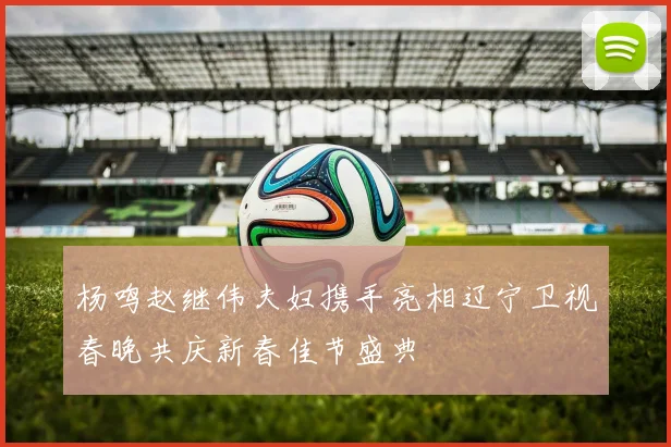 杨鸣赵继伟夫妇携手亮相辽宁卫视春晚共庆新春佳节盛典