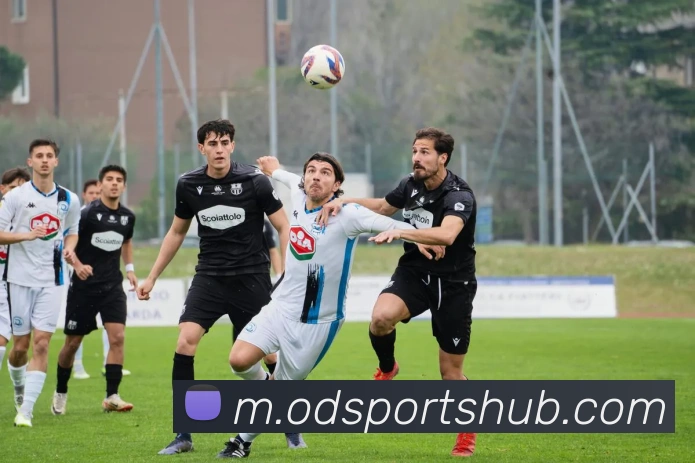 OD体育平台生态图