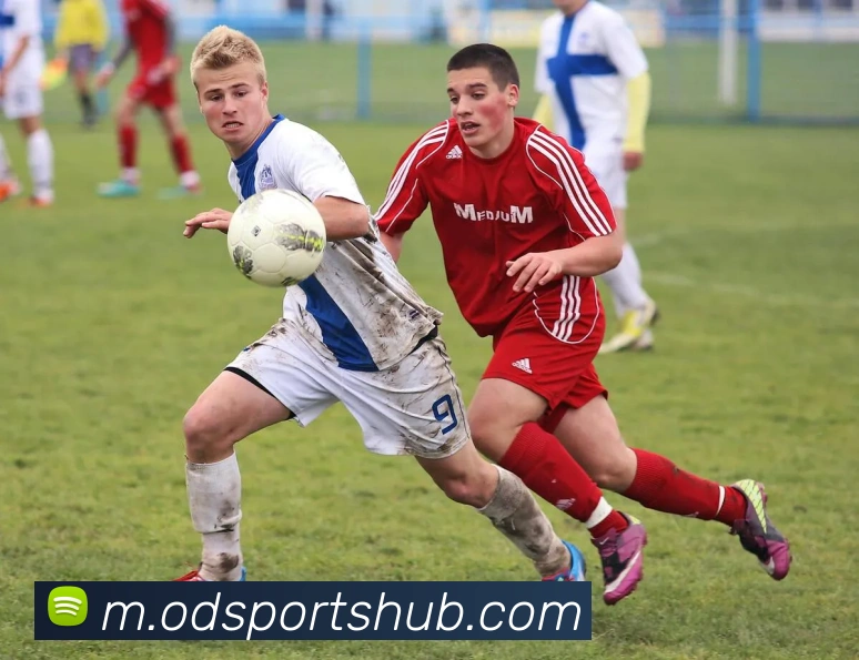 OD体育APP 封面图